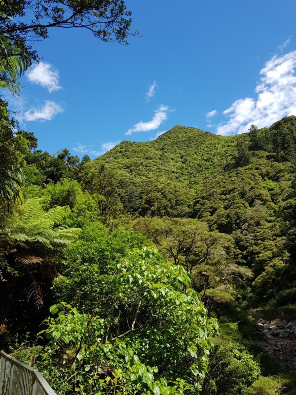 Riverside Accommodation Karangahake 外观 照片